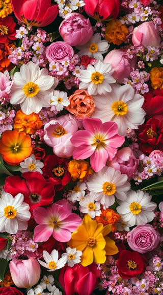 Bienvenida primavera: colores que florecen con historia