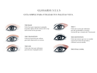 Guía Básica para Maquillar tus Ojos