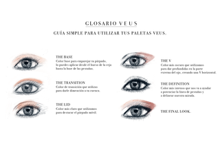 Guía Básica para Maquillar tus Ojos